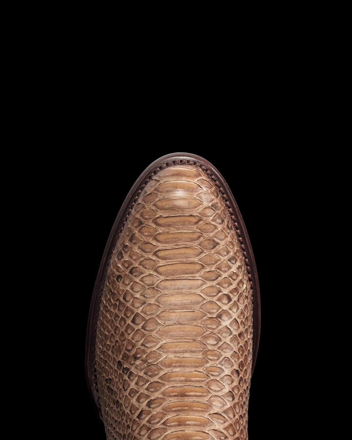Toe view of The Earl - Ash Brown Python on plain background