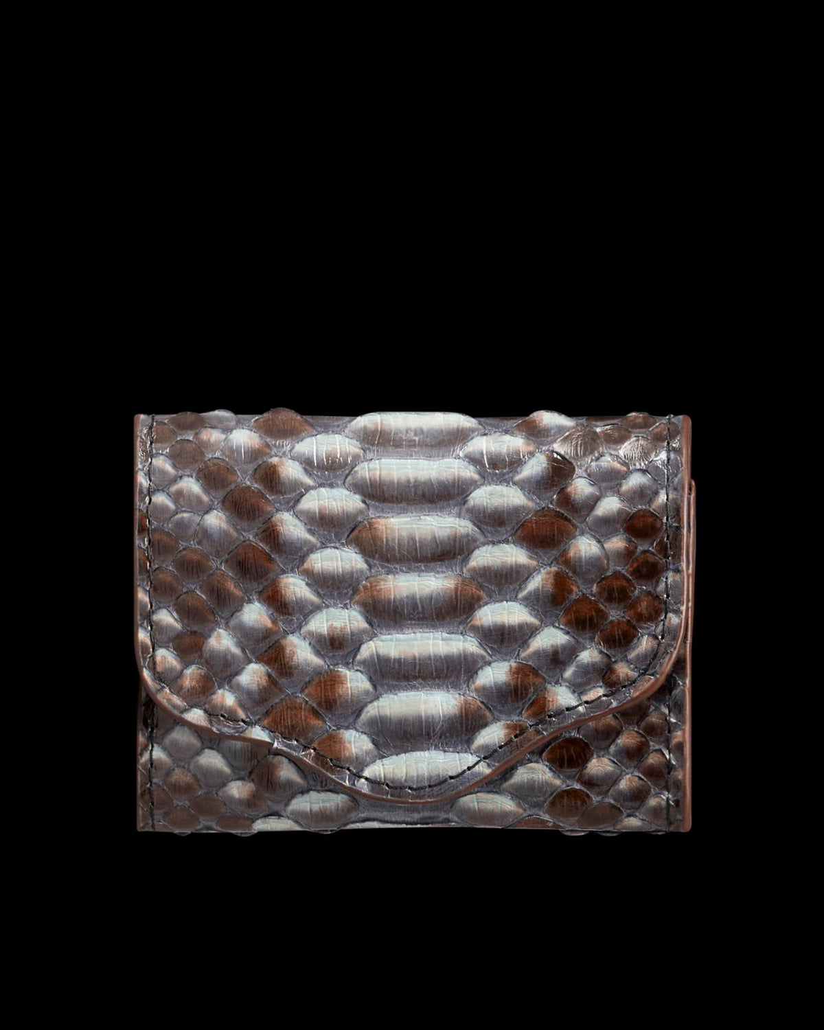 View of Python Card Case - Blue Multi