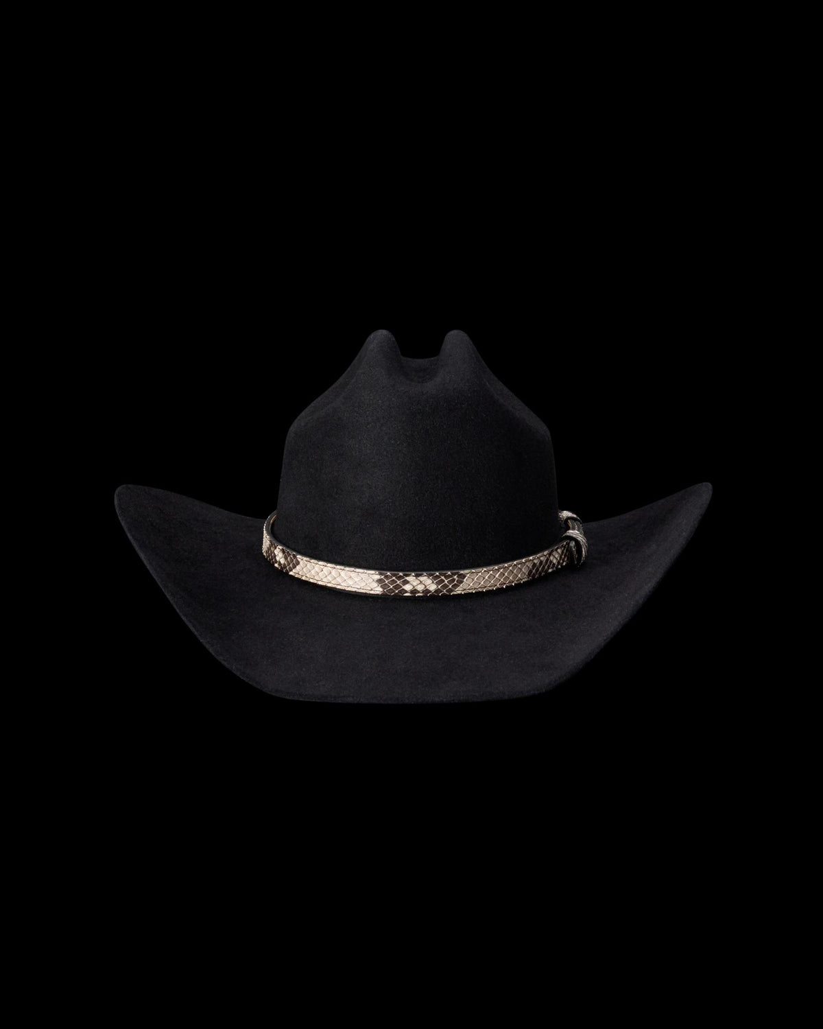 Back view of Hat Band - Black Bone on plain background