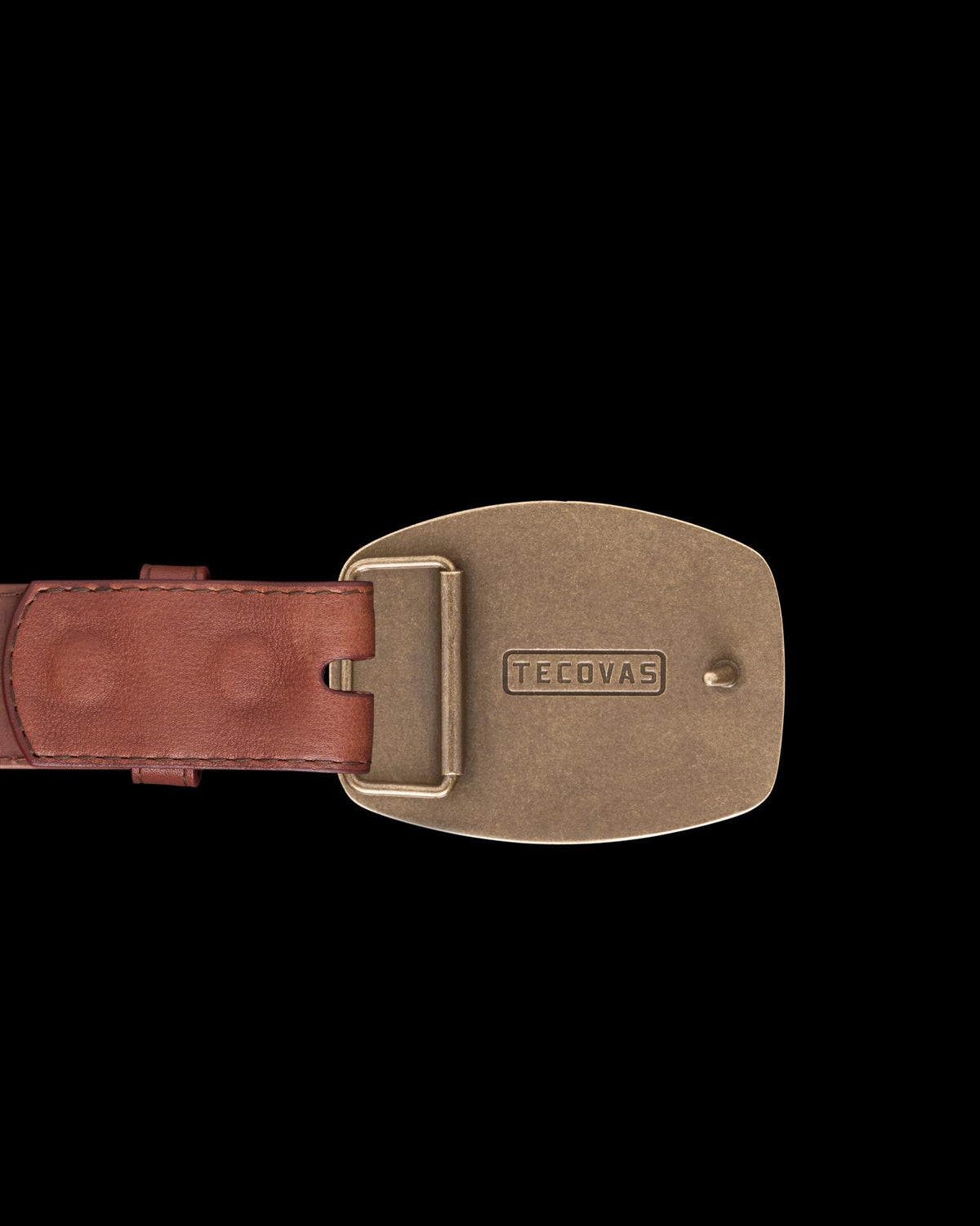 View of Bison Buckle - Antique Brass