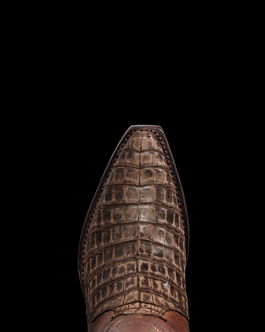 Toe view of The Loretta - Truffle Caiman on plain background