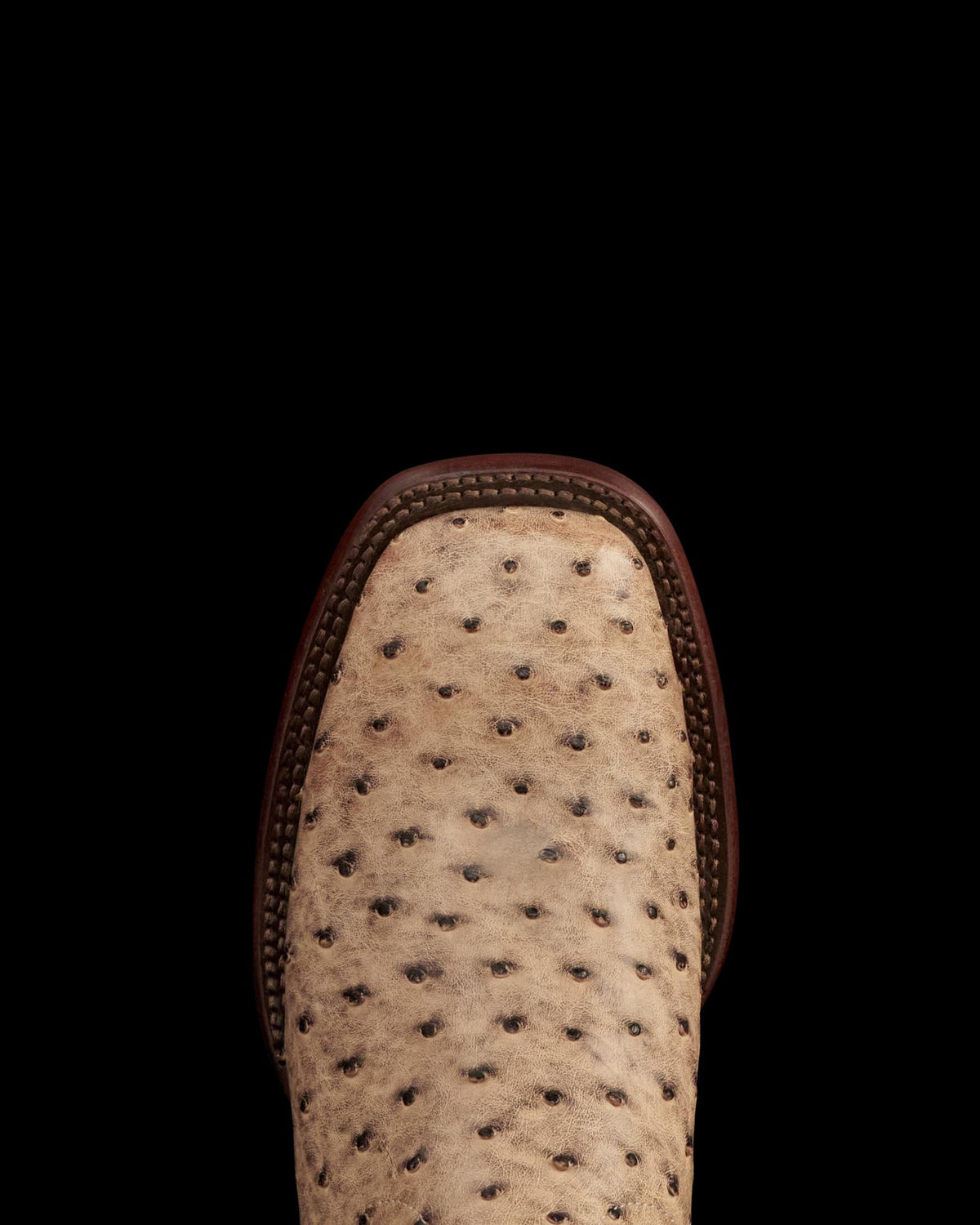 Toe view of The Emmitt - Birch Ostrich on plain background