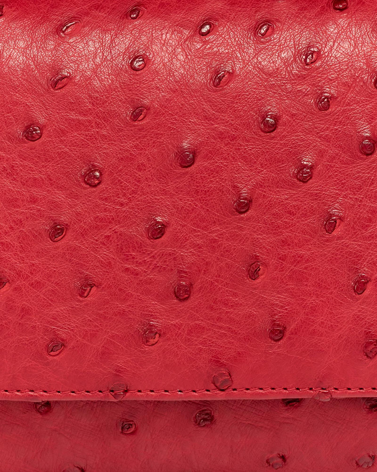 Closeup view of Ostrich Flap Shoulder Bag - Barn Red