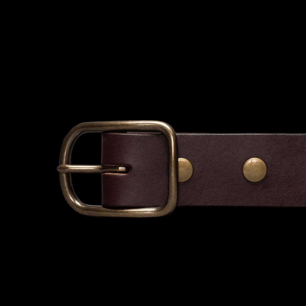 Front view of Harness Leather Belt - Umber on plain background