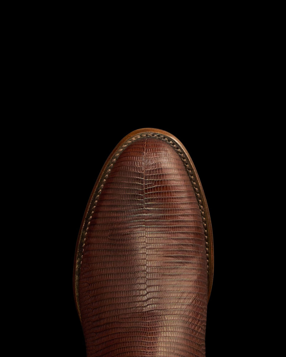 Toe view of The Earl - Hickory Lizard on plain background