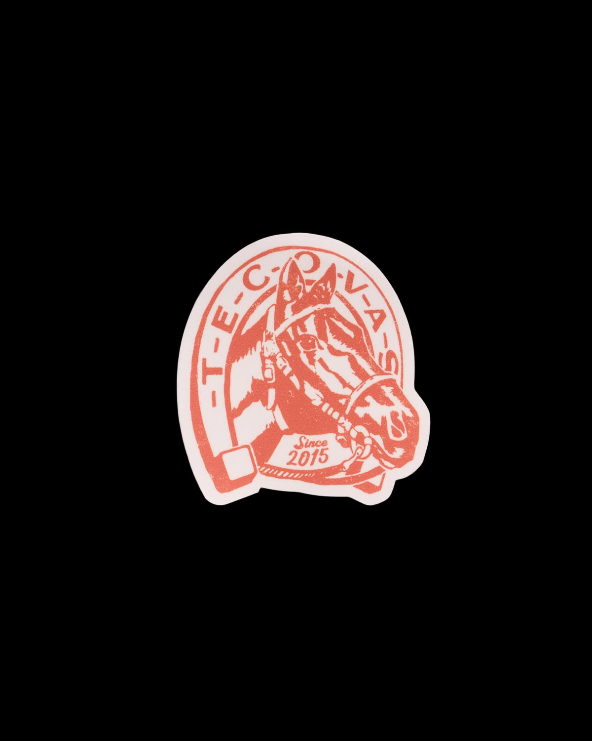 Front view of Horseshoe and Horse Sticker - Multi on plain background