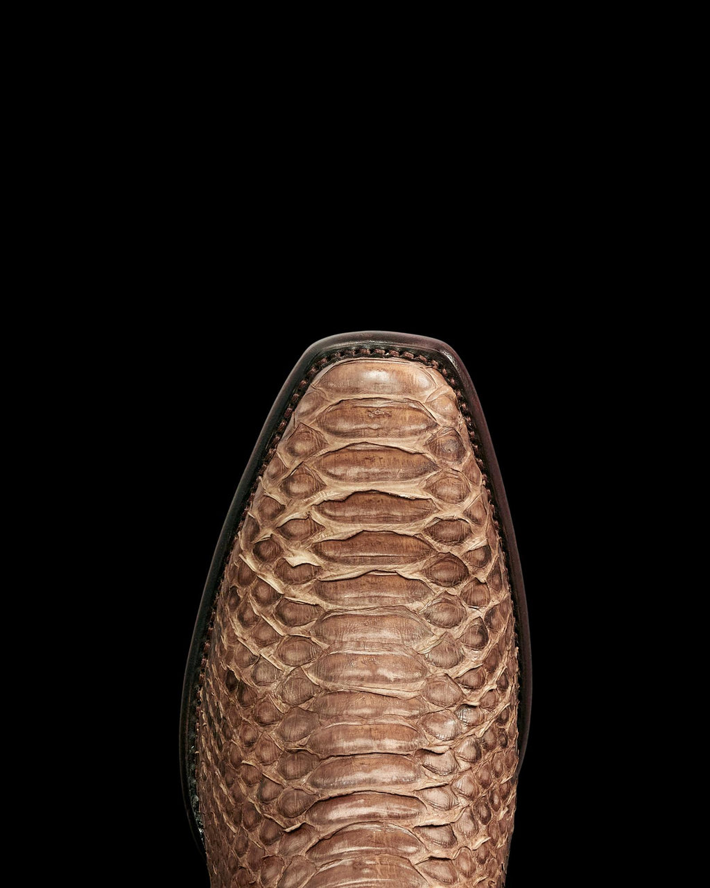 Toe view of The Warren - Ash Brown Python on plain background