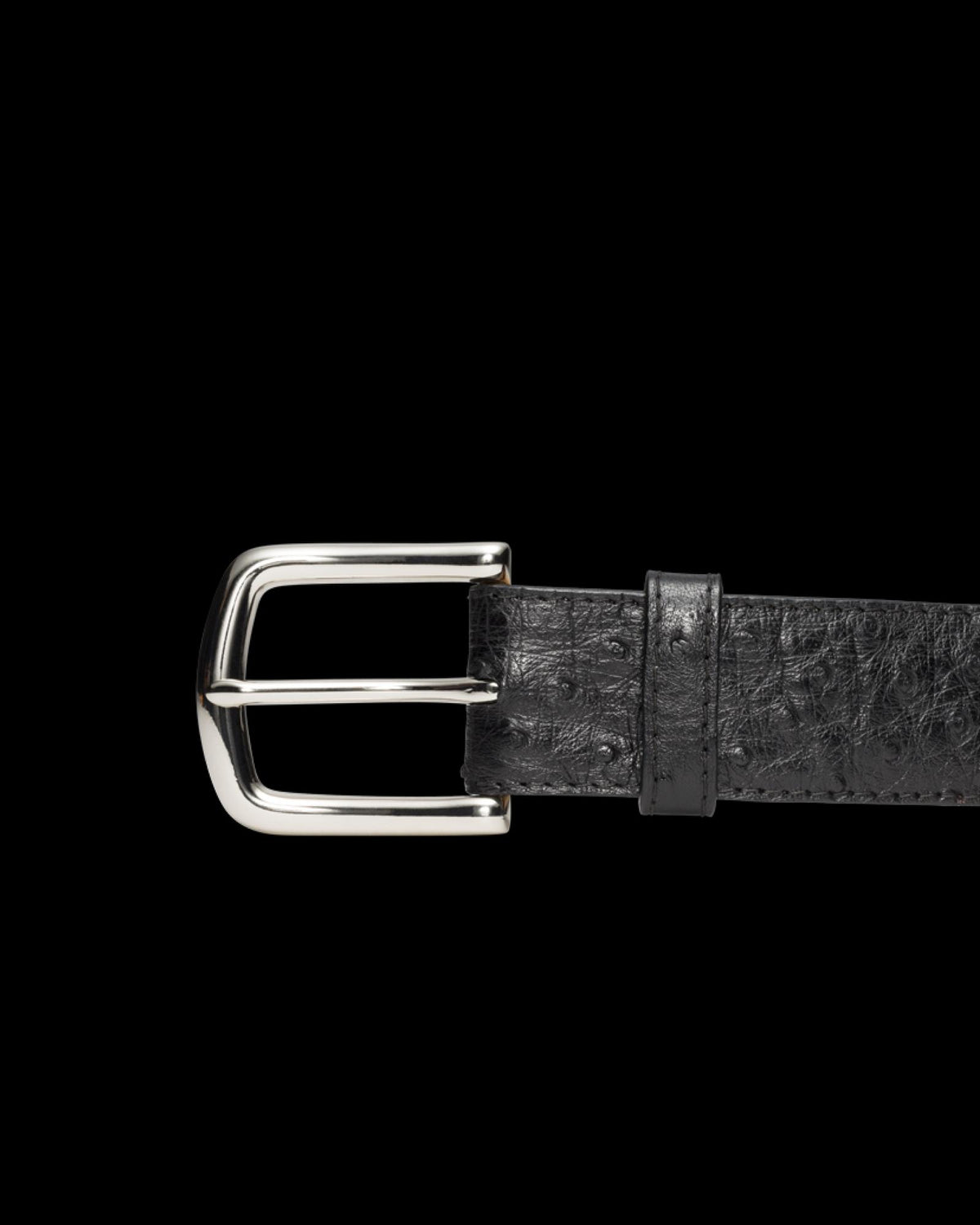 Front view of Men's Ostrich Belt II - Midnight on plain background