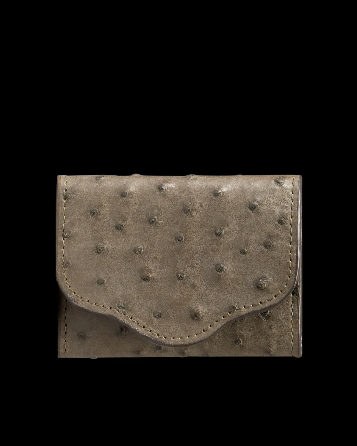 Front view of Ostrich Card Case - Dark Forest on plain background