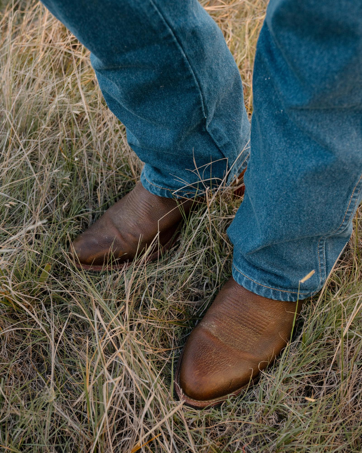 View of The Cartwright - Tobacco Regenerative Bison