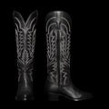 Black cowboy boots with intricate white stitching, featuring a pointed toe and a chunky heel, displayed upright and in profile.