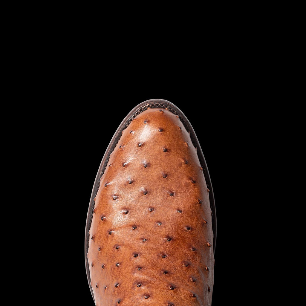 Toe view of The Dean - Pecan on plain background