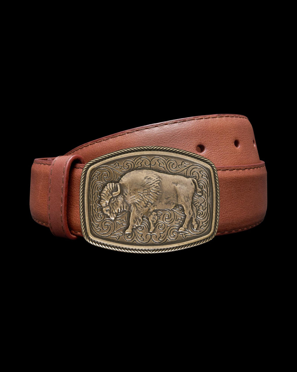 Front view of Bison Buckle - Antique Brass on plain background