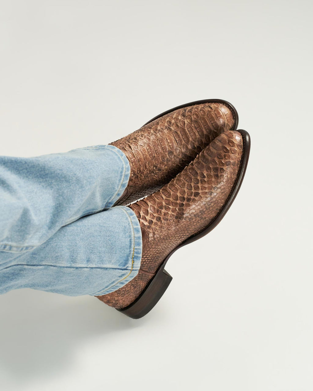 View of The Earl - Ash Brown Python