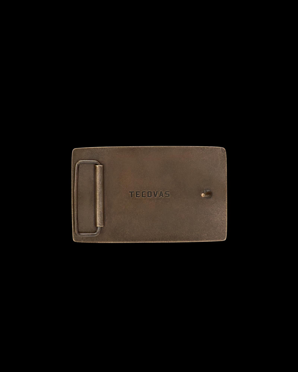 Back view of Longhorn Belt Buckle - Antique Brass on plain background